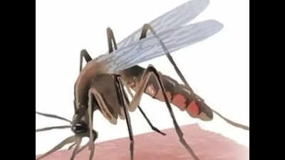 18 test +ve for dengue in 7 days, most cases from New Bhopal