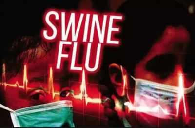 408 swine flu cases, 10 deaths this September