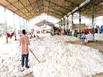 Inclement weather hits cotton picking, crop arrivals in ...