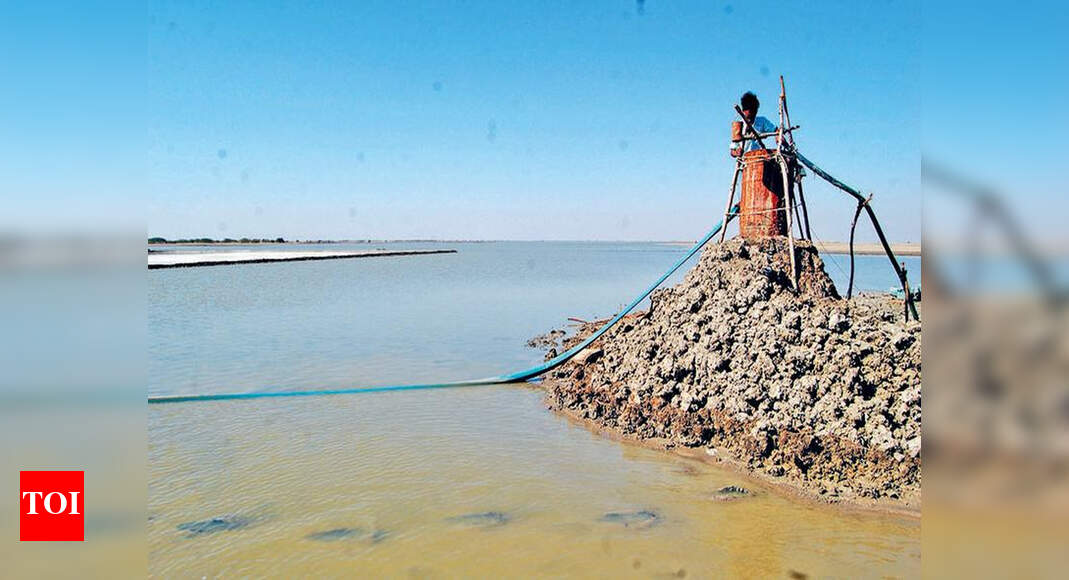Goverment allows bromine makers to extract natural salt in Khavda Rajkot News Times of India