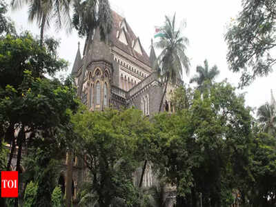 Bombay High Court Appoints Advocate To Prepare Pil Aurangabad