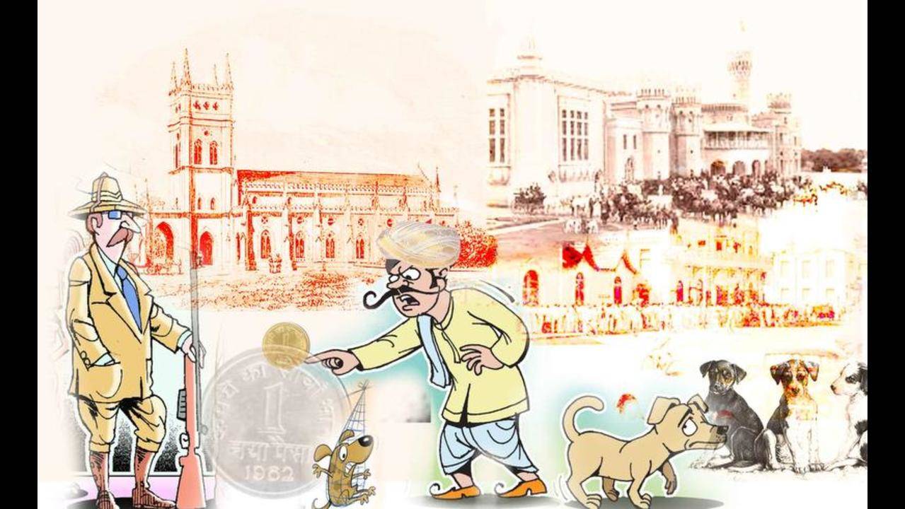 No relief from curs? Bengaluru dogged for over 150 years | Bengaluru News -  Times of India