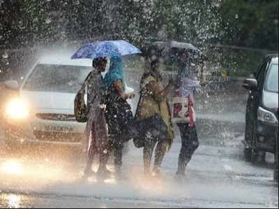 IMD’s monsoon prediction off target, private Skymet update more accurate