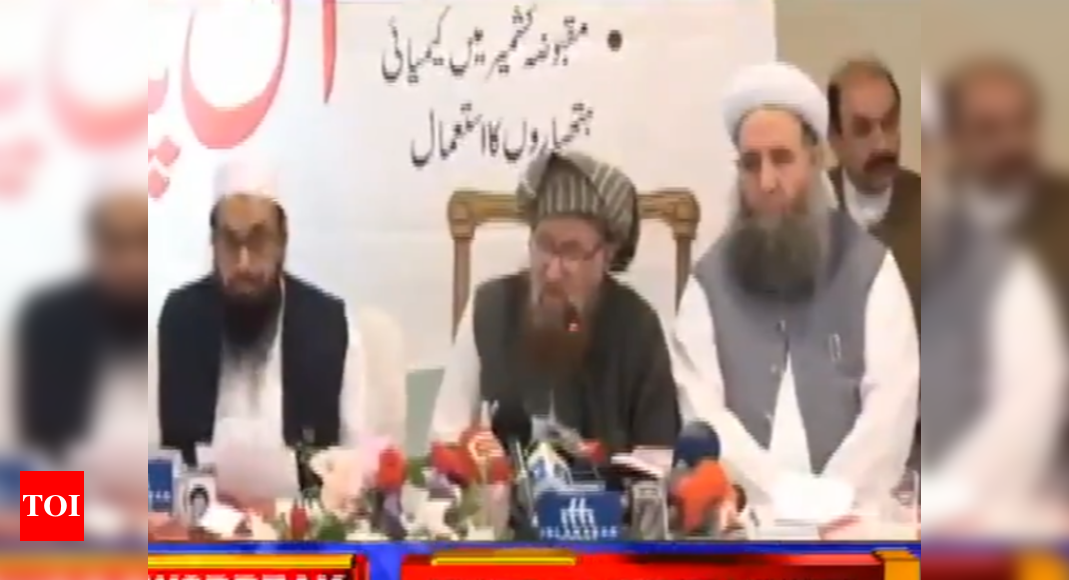 Pakistan Pm Imran Khan's Minister Shares Stage With Hafiz Saeed 