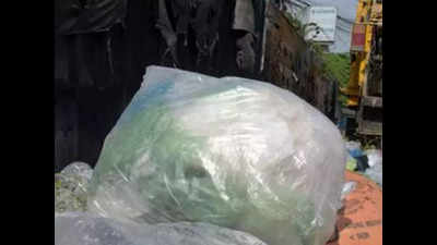 Plastic bags to be banned in Bihar from Oct 25 : State govt to HC