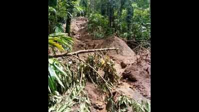 Revenue dept moots study on sporadic high intensity rainfall in Idukki