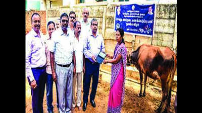 Three-month national livestock census kick starts in Trichy