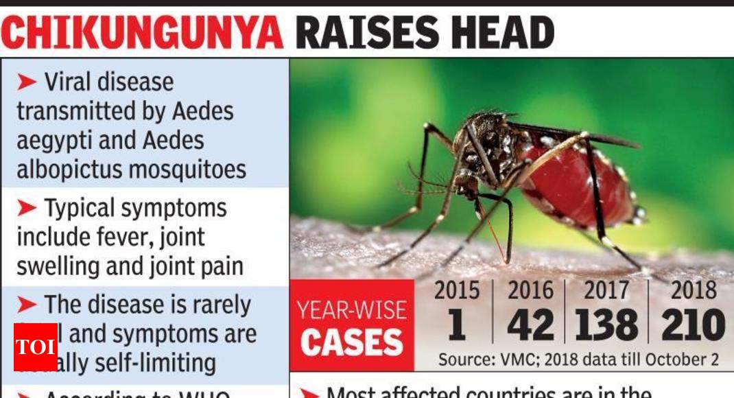 Chikungunya out of control, 200 affected | Vadodara News - Times of India