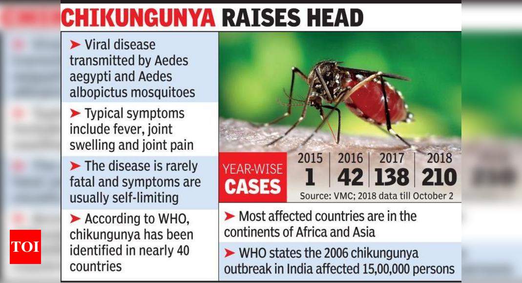 Chikungunya Out Of Control 200 Affected Vadodara News Times Of India