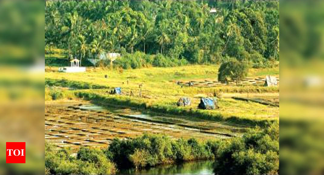 agriiculture-census-goa-sees-sharpest-decline-in-cultivable-lands