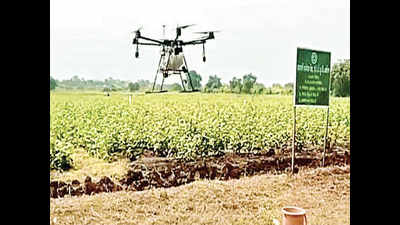 PDKV tries spraying pesticide using drone