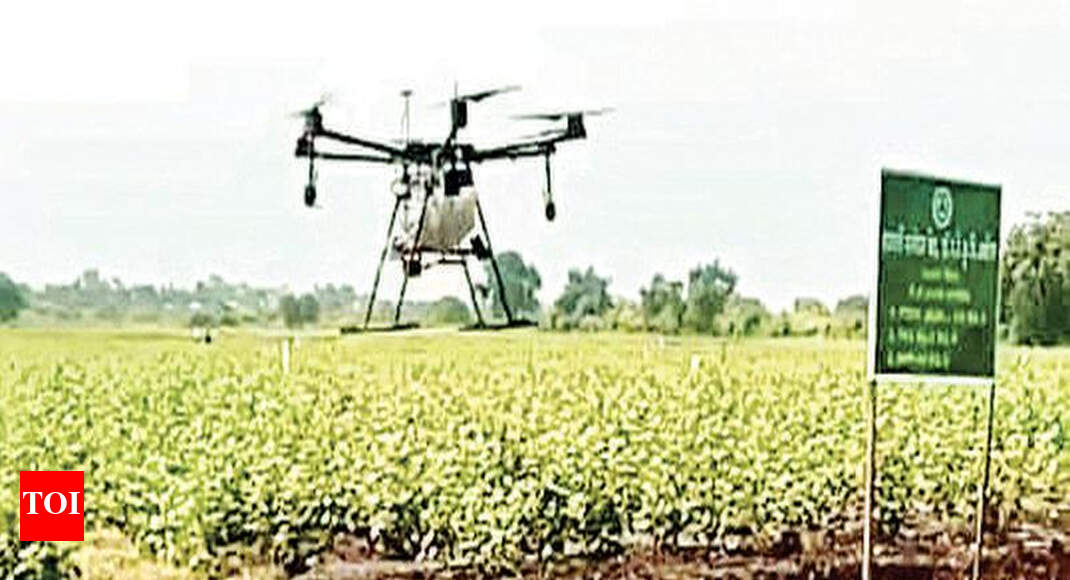 PDKV tries spraying pesticide using drone Nagpur News Times of India