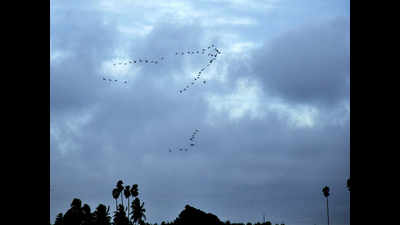 Heavy rain likely in Puducherry and Tamil Nadu on October 7, red alert issued