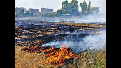 Stubble Burning:Mechanization of Wheat Sowing Only Option