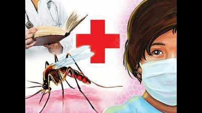 Bengaluru sees 46 H1N1 cases within a week