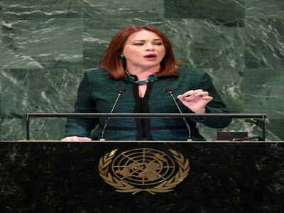 UNSC reform process depends on will, political commitment of member states: UNGA President Espinosa