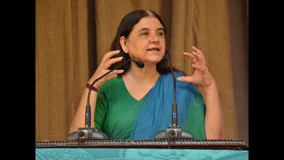 Make Delhi 'mirror' for the country by removing child beggars: Maneka Gandhi to Delhi women DCPs