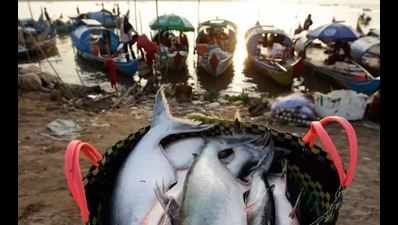 Goa to hire foreign agency to test fish for chemicals: Vishwajit Rane