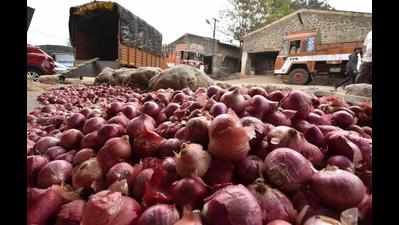 Bumper crop, but onion growers still in trouble