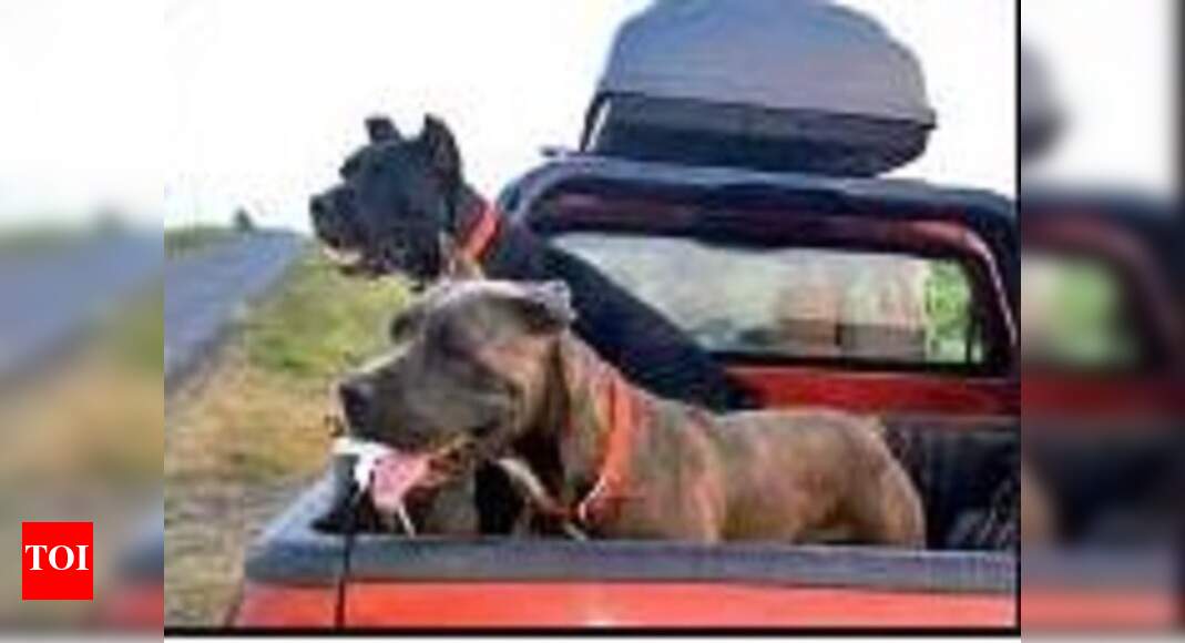 Jyoti Randhawa To Lead Team Of Dogs In Hunt For Maneater