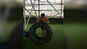 Watch: Ishaan Khatter's total-body tire workout