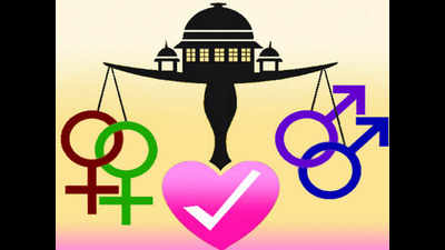 Police to review cases registered under Section 377