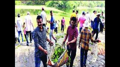 Social groups renew drive to remove water hyacinth
