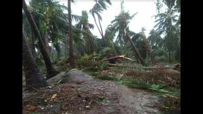 Cyclone 'Titli' leaves two dead in AP