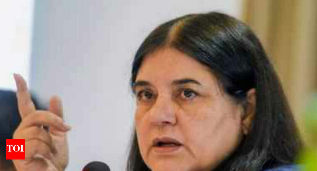 Maneka Gandhi to propose 4-member panel to look into #MeToo cases - Times of India