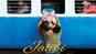 Jalebi: Public Review