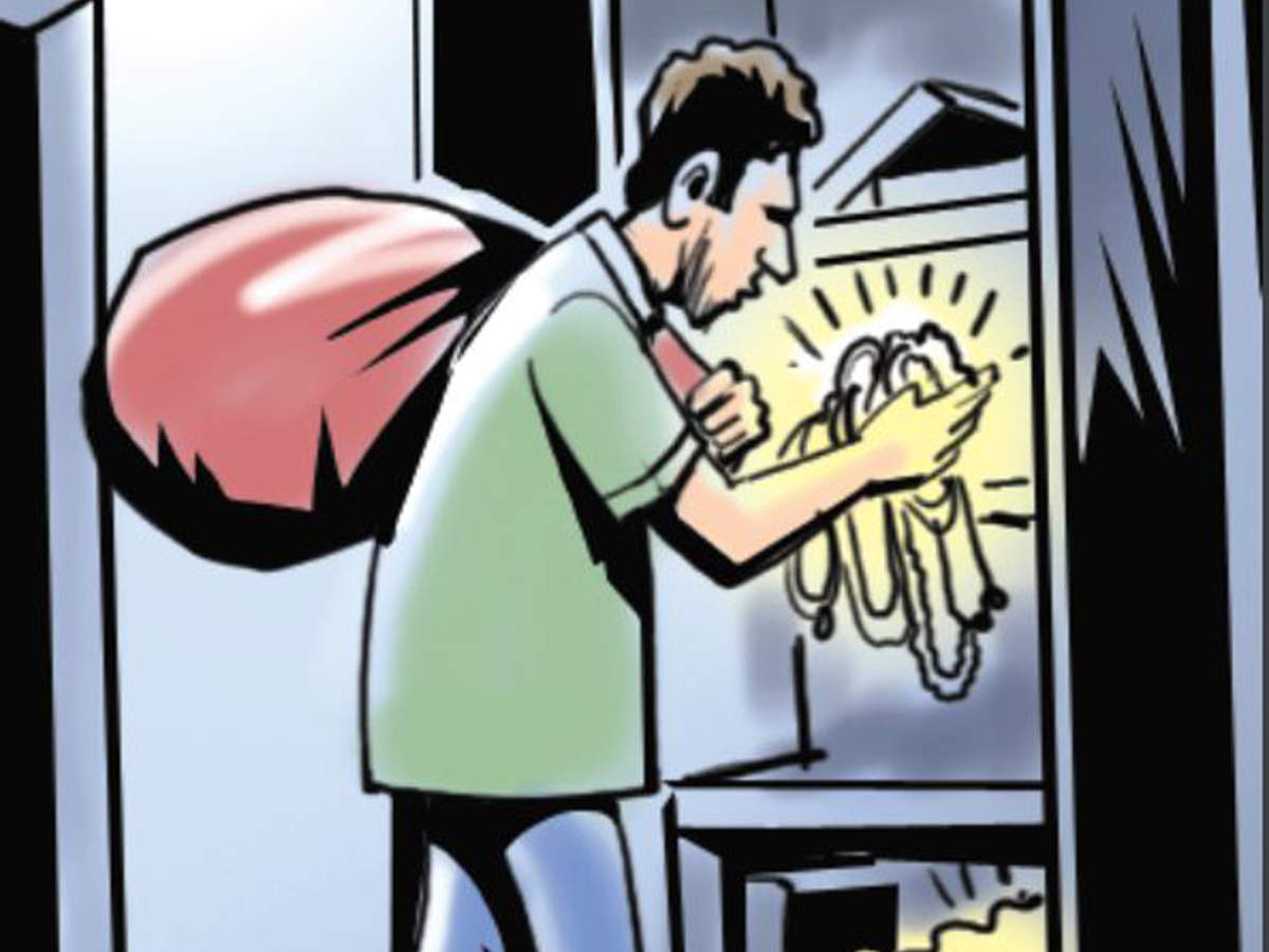 Thieves Break Into House Steal Cash And Kidnap 3 Pups Mumbai News Times Of India