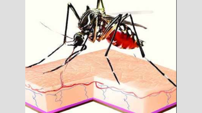 One more dies of dengue in Varanasi, toll goes up to seven