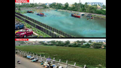 Restoration of Velachery lake: Another promise yet to be kept