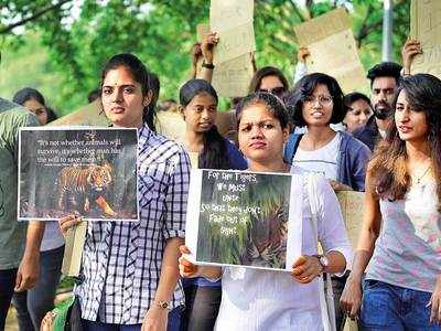 #SaveTigressAvni, roar animal lovers in Hyderabad, protesting Maha govt’s shoot-to-kill order