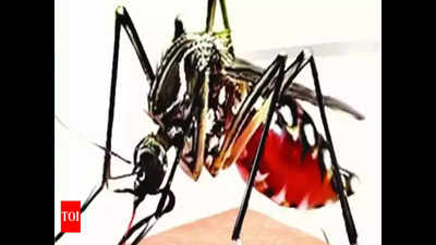 Corporation anti-dengue drive fetches Rs 1.28 lakh