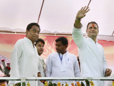 MP: Rahul Gandhi visits Pitambara Peeth, seeks blessings before roadshow