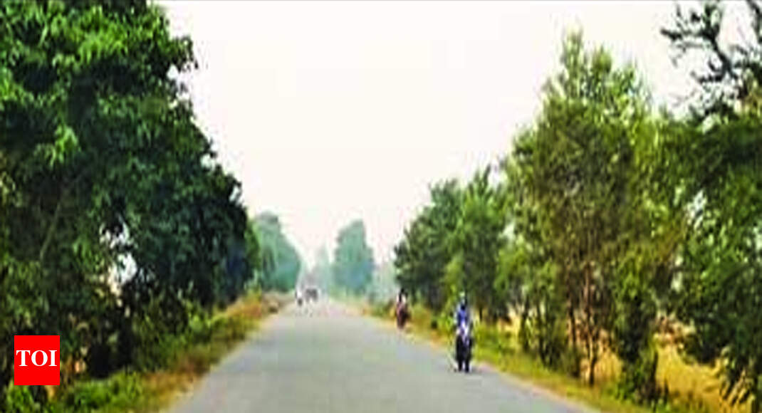 74km of BareillySitarganj stretch of NH74 to be made fourlaned