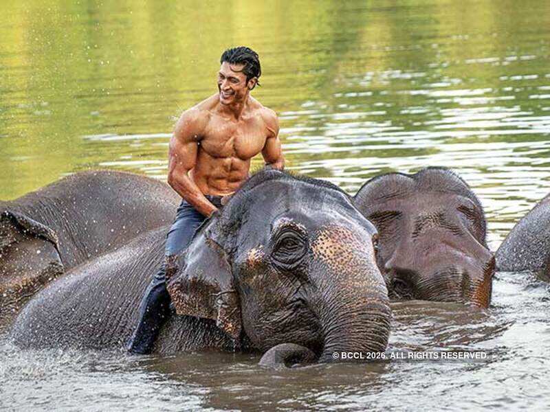 Junglee Official Teaser Vidyut Jammwal Chuck Russell In Cinemas 29th March 2019 Youtube