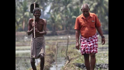 Kerala: Kuttanad farmers face shortage of seeds, plan protests
