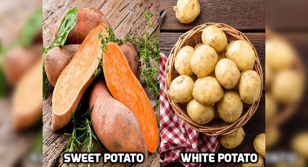 What's the difference between sweet potato and white potato
