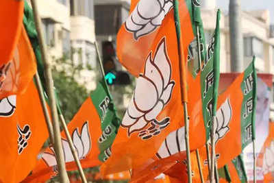 BJP sweeps urban local body polls in 4 districts of South Kashmir