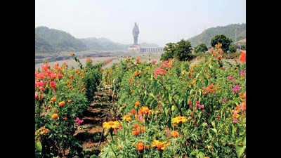 Airstrip proposed near Statue of Unity