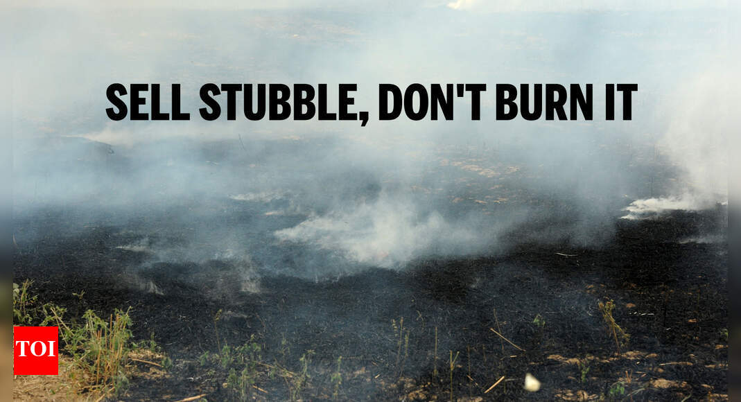 Stubble burning: IIT Ropar steps in to provide low cost solution ...