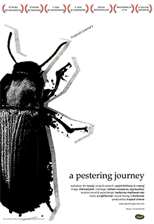 A Pestering Journey