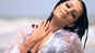 Celina Jaitly to make a comeback to Bollywood after seven years
