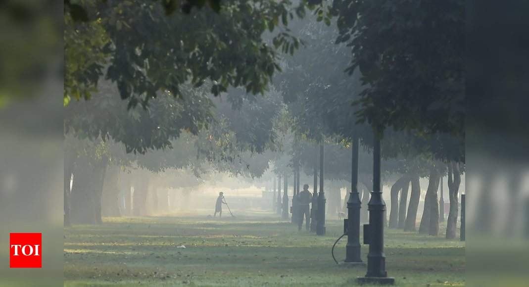 delhi-temperature-delhi-records-lowest-day-temperature-of-season-so