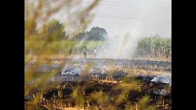 71 cases of stubble burning reported in Ambala till Oct 25