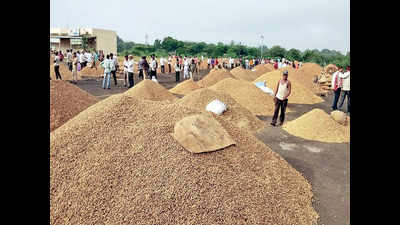 Groundnut at MSP to be procured only from market yard
