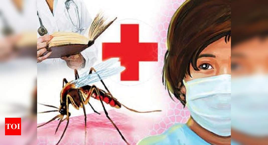 three-new-swine-flu-patients-detected-in-surat-surat-news-times-of-india