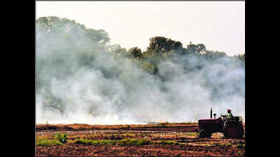 Paddy burning in Punjab, Haryana behind rise in west Uttar Pradesh pollution, say experts